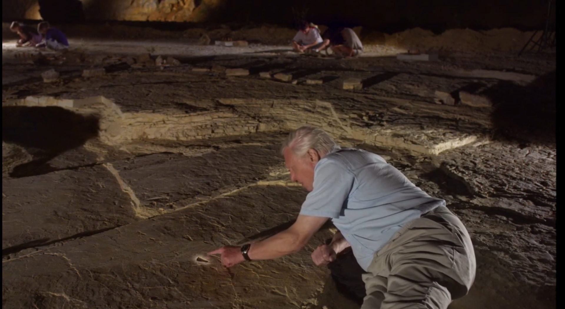 Flying Monsters 3D, David Attenborough